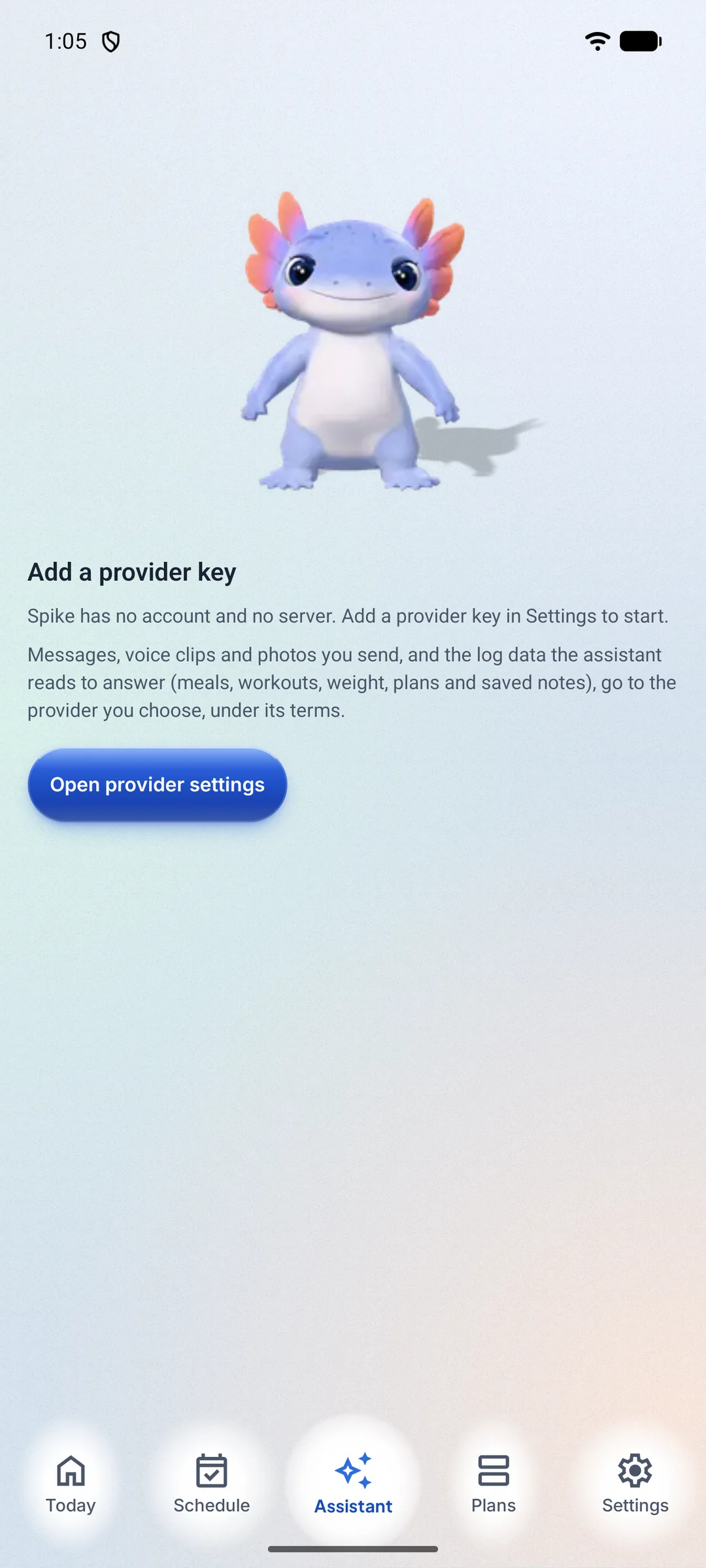 Assistant tab before a provider key is added: the companion, the note on what is sent to the provider you choose, and the button that opens provider settings.